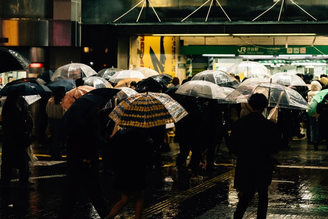 挖掘下沉市场 各地多措并举提振汽车消费